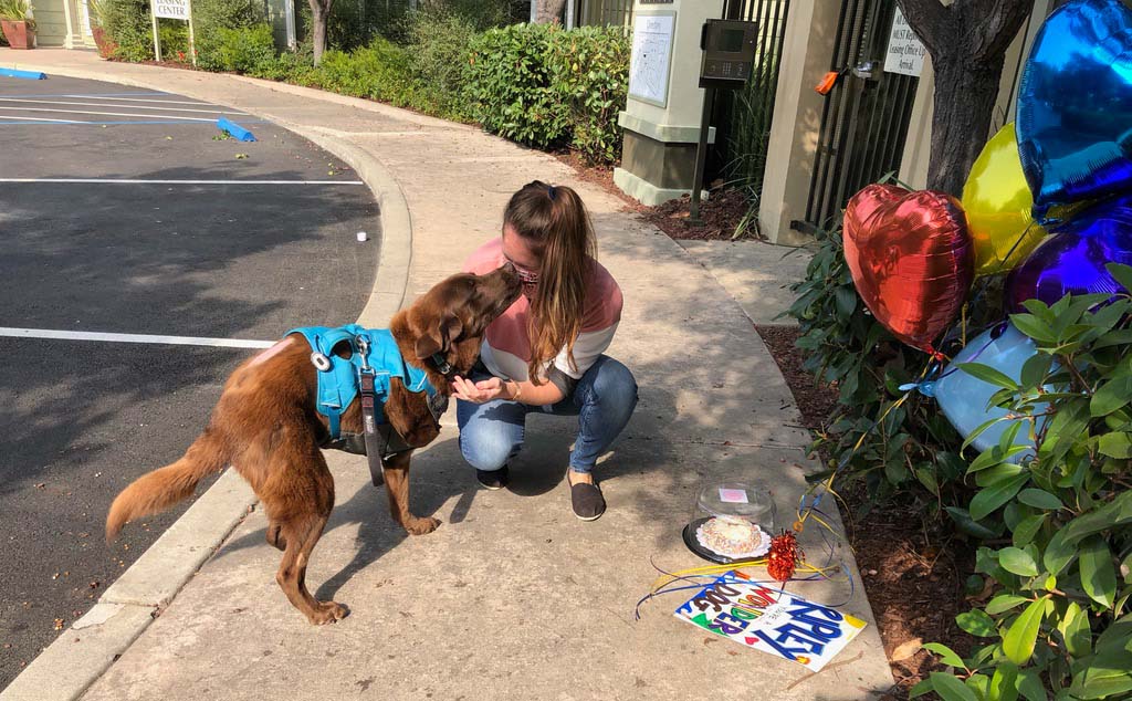 A brown dog greets a women crouched down to pet him surrounded by birthday supplies